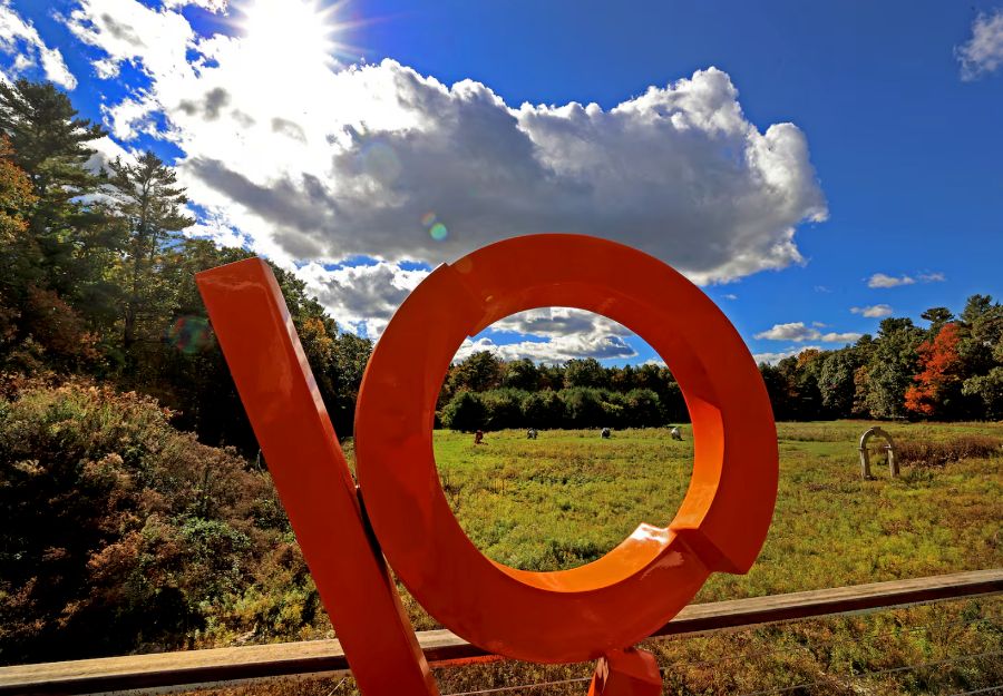 rob lorenson makes monumental works that glisten gleam and glide 001